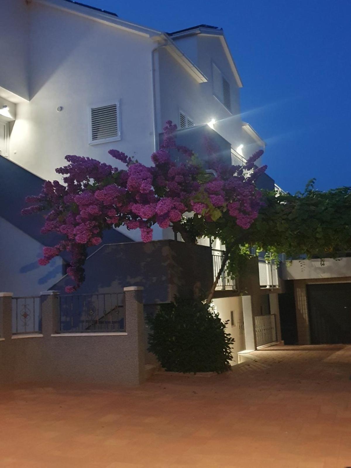 Apartment Bozovic Orebic Ngoại thất bức ảnh